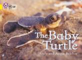 The Baby Turtle: Band 03/Yellow