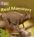 Real Monsters: Yellow / Band 3
