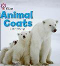 Animal Coats: Band 02a/Red a