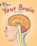 Your Brain: Band 15/Emerald