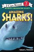 Amazing Sharks I Can Read Level 2