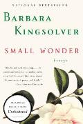 Small Wonder: Essays