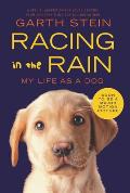 Racing in the Rain My Life as a Dog