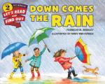 Down Comes the Rain Reillustrated