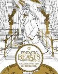 Fantastic Beasts & Where to Find Them Magical Characters & Places Coloring Book