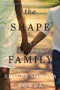 Shape of Family A Novel