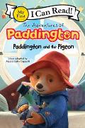 Adventures of Paddington Paddington & the Pigeon
