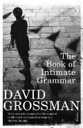 The Book of Intimate Grammar. David Grossman