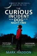Curious Incident of the Dog in the Night time UK ed