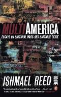 Multi-America: Essays on Cultural Wars and Cultural Peace