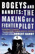 Bogeys & Bandits The Making of a Fighter Pilot