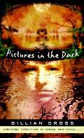 Pictures In The Dark