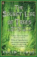 Secret Life Of Trees