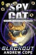 Spy Cat Blackout