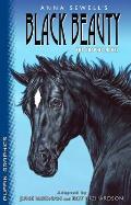 Puffin Graphics: Black Beauty
