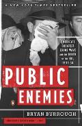 Public Enemies Americas Greatest Crime Wave & the Birth of the FBI 1933 34