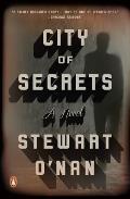 City of Secrets A Novel