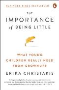 Importance of Being Little What Preschoolers Really Need from Grownups