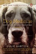 Dog Medicine How My Dog Saved Me from Myself