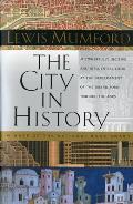 City in History Its Origins Its Transformations & Its Prospects