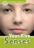 Read and Discover: Level 3: 600-Word Vocabularyyour Five Senses
