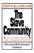 Slave Community Plantation Life in the Antebellum South
