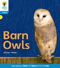 Oxford Reading Tree: Level 3: Floppy's Phonics Non-Fiction: Barn Owls