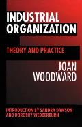 Industrial Organization: Theory and Practice