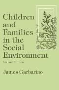 Children and Families in the Social Environment: Modern Applications of Social Work