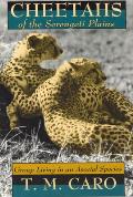 Cheetahs of the Serengeti Plains Group Living in an Asocial Species