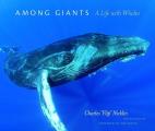 Among Giants A Life with Whales