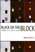 Black on the Block The Politics of Race & Class in the City
