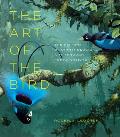 Art of the Bird The History of Ornithological Art through Forty Artists