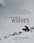 Yellowstone Wolves Science & Discovery in the Worlds First National Park