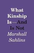 What Kinship Is - And Is Not