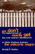 We Dont Exactly Get the Welcome Wagon The Experiences of Gay & Lesbian Adolescents in Child Welfare Systems
