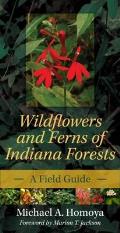 Wildflowers and Ferns of Indiana Forests: A Field Guide