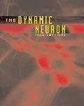 Dynamic Neuron A Comprehensive Survey