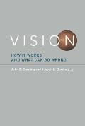 Vision How It Works & What Can Go Wrong