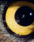 I Do Not Know What It Is I Am Like: The Art of Bill Viola