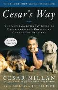 Cesars Way the Natural Everyday Guide to Understanding & Correcting Common Dog Problems