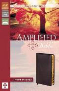 Bible Amplified Burgundy Thumb Indexed