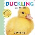 Duckling & Friends Touch & Feel