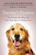 Since Tuesday One Veteran One Dog & Their Bold Quest to Change Lives