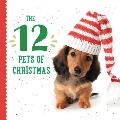 The 12 Pets of Christmas