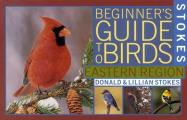 Stokes Beginners Guide To Birds Eastern Region