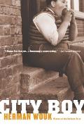 City Boy The Adventures Of Herbie Bookbi