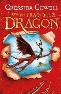 How to Train Your Dragon 01 UK