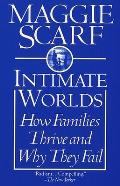 Intimate Worlds How Families Thrive & Why They Fail