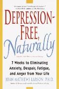 Depression Free Naturally 7 Weeks to Eliminating Anxiety Despair Fatigue & Anger from Your Life